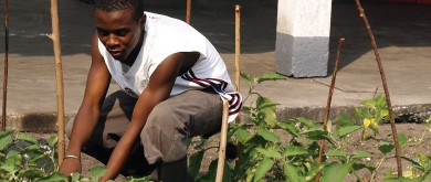 Nieuwe curricula in het technisch landbouwonderwijs in de DR Congo
