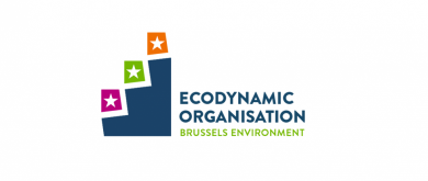 Ecodynamic Organisation