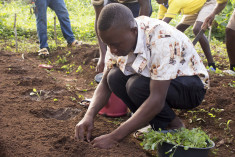 © The Movement for School-Based Agricultural Education