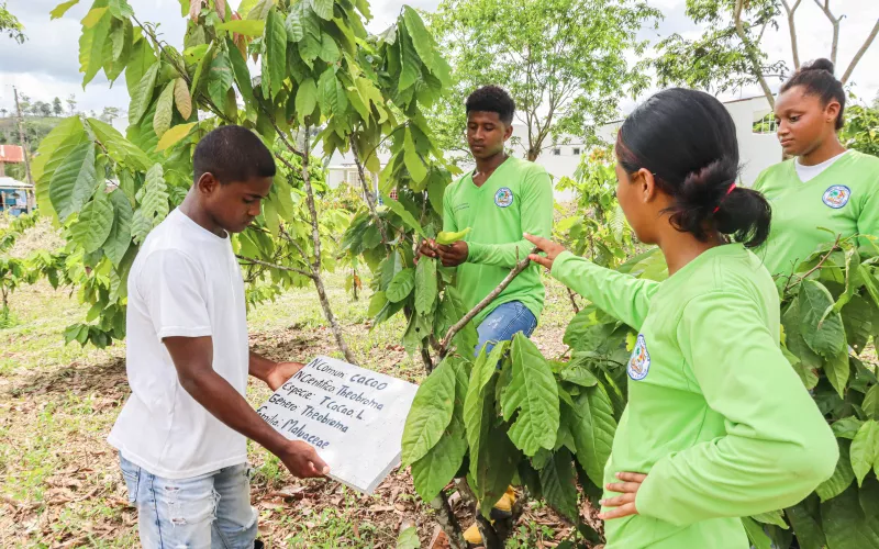 Four young people are examining cacao plants outdoors, with one holding a sign. 