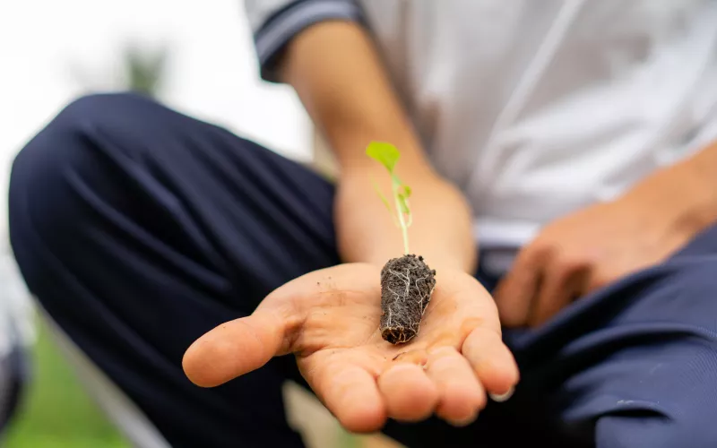 An Ecuadorian student holds a seedling in his palm symbolising growth 