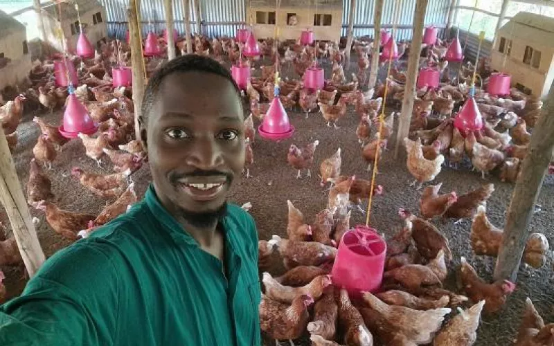 Dr Daniel is wearing a green shirt and smiles while taking a selfie in a chicken coop filled with numerous brown hens and pink feeders, conveying joy and pride.