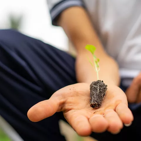 A plant and root being held in palm of the hand of a student.
