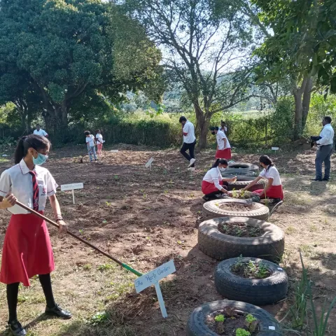 Learners attend to their school garden in South Africa