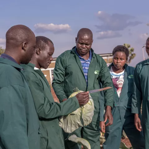 Students in green overalls examine a cabbage during an outdoor agriculture lesson.
